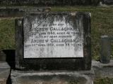 image of grave number 885208